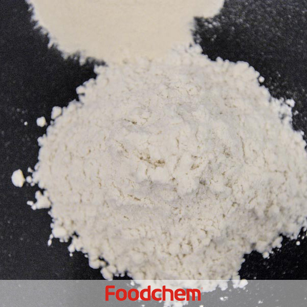 Carrageenan Foodgel2000 supplier suppliers